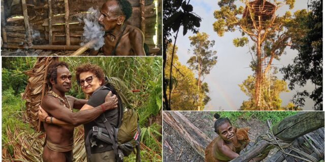 Papua Zachodnia i Ludzie Drzew.